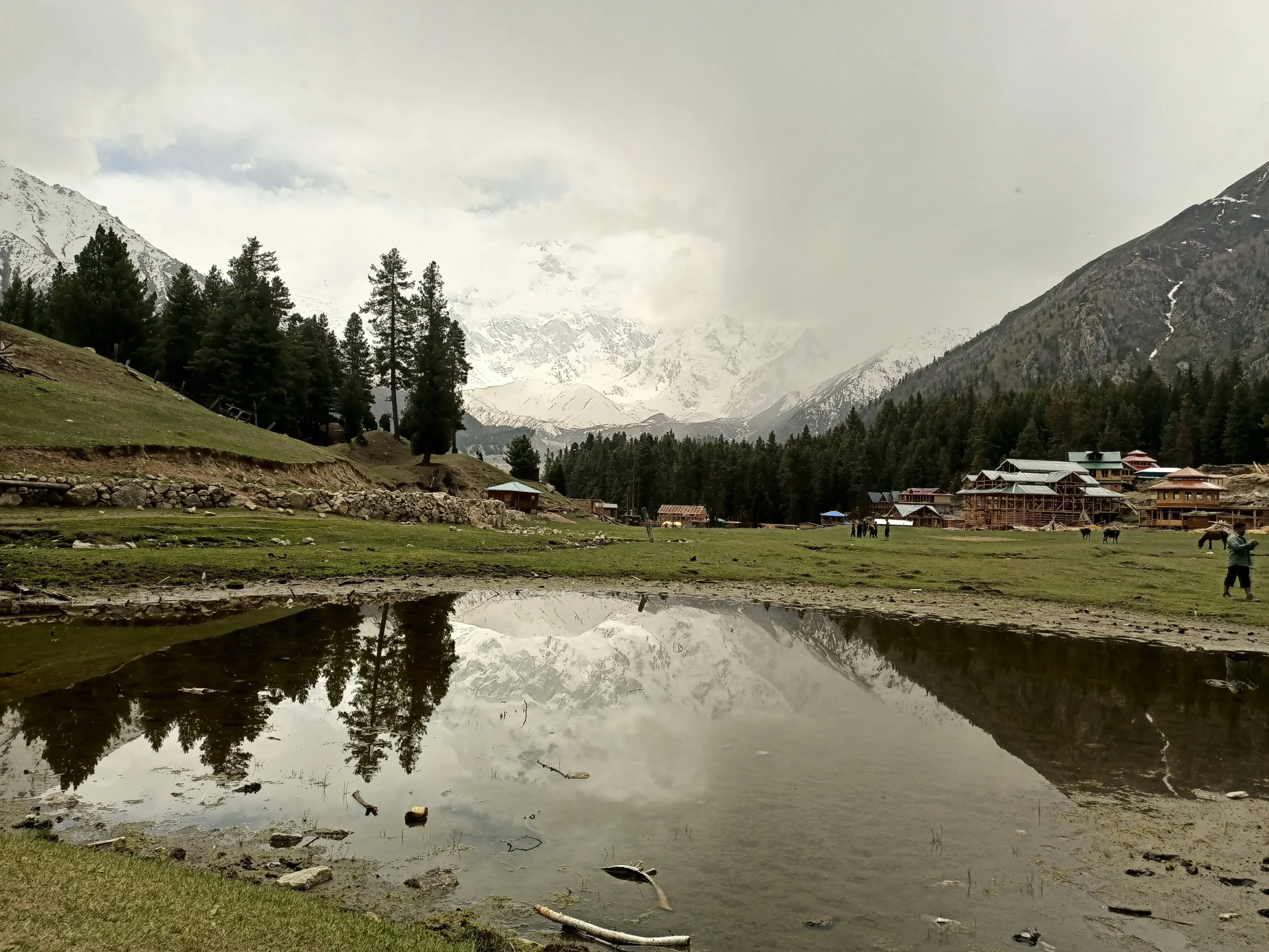 Fairy Meadows (Gilgit-Baltistan)