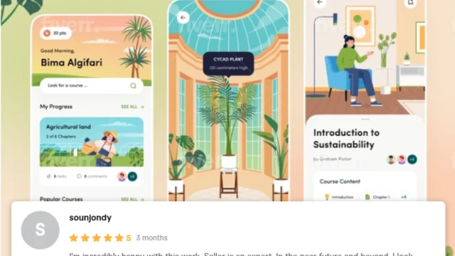 Services Providers in Pakistan 11 Tamim Digital2