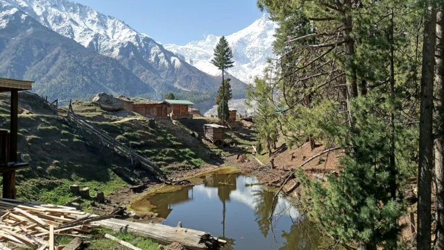 fairy meadows (gilgit-baltistan) pakistan
